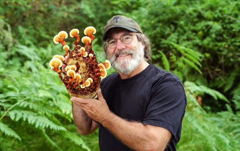 Future Space Travel Might Require Mushrooms – Scientific American