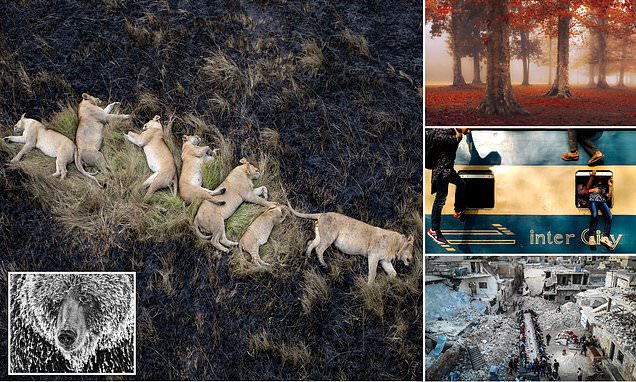 The stunning winning images in the 2021 Travel Photographer of the Year awards | Daily Mail Online