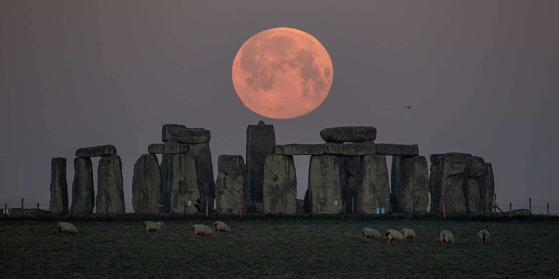 A Rare ‘Pink Moon’ Will Light Up the Sky on Saturday — How to See It | Travel + Leisure