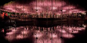 Where to See the Best Wisteria Blooms in Japan This Spring | Travel + Leisure