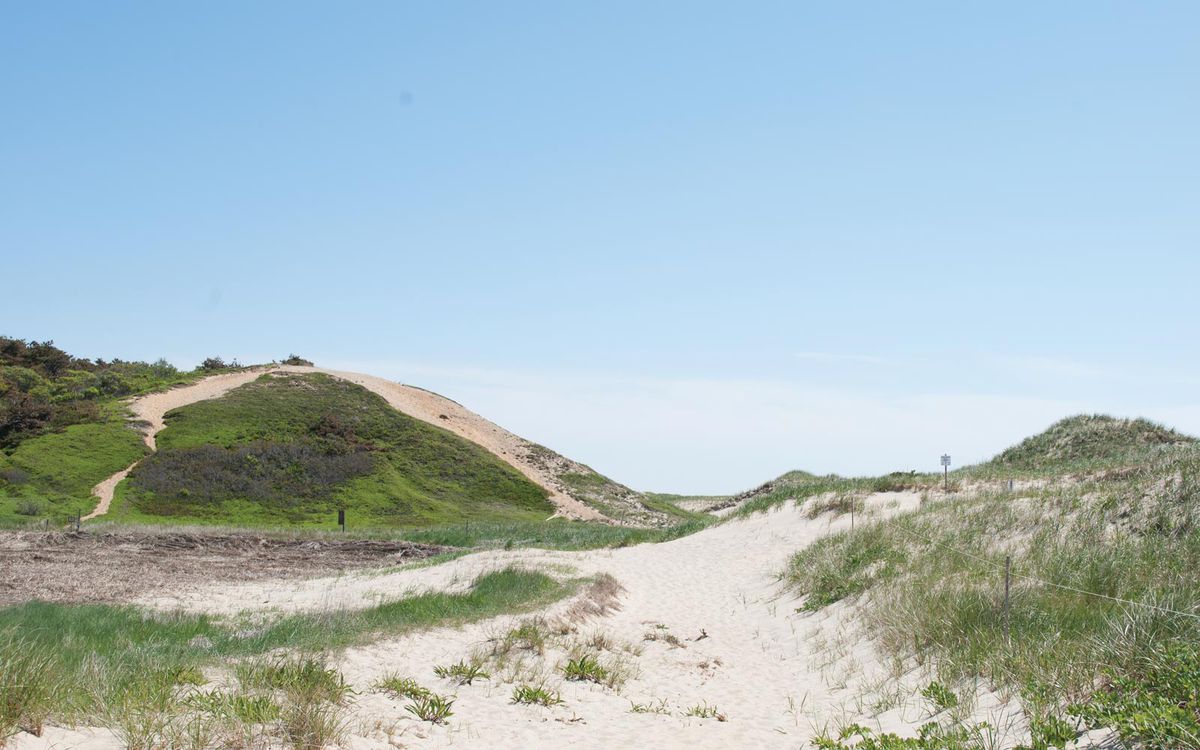 Eastern Massachusetts Has Some of the Loveliest Hikes in New England | Travel + Leisure