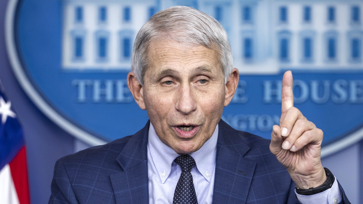 Fauci: U.S. Should ‘Seriously’ Consider Vaccine Mandates For Air Travel, But Don’t ‘Expect’ It To Happen