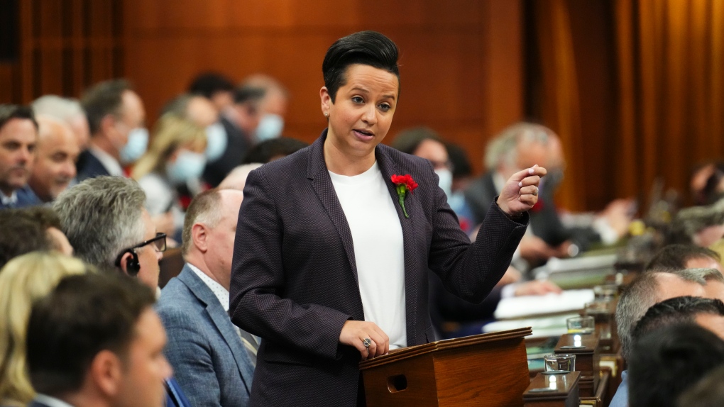 Travel delays: Conservatives want to do away with restrictions | CTV News