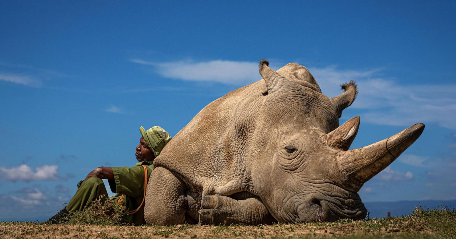 Photos of Last Northern White Rhino on Earth Wins Travel Photo Contest | PetaPixel