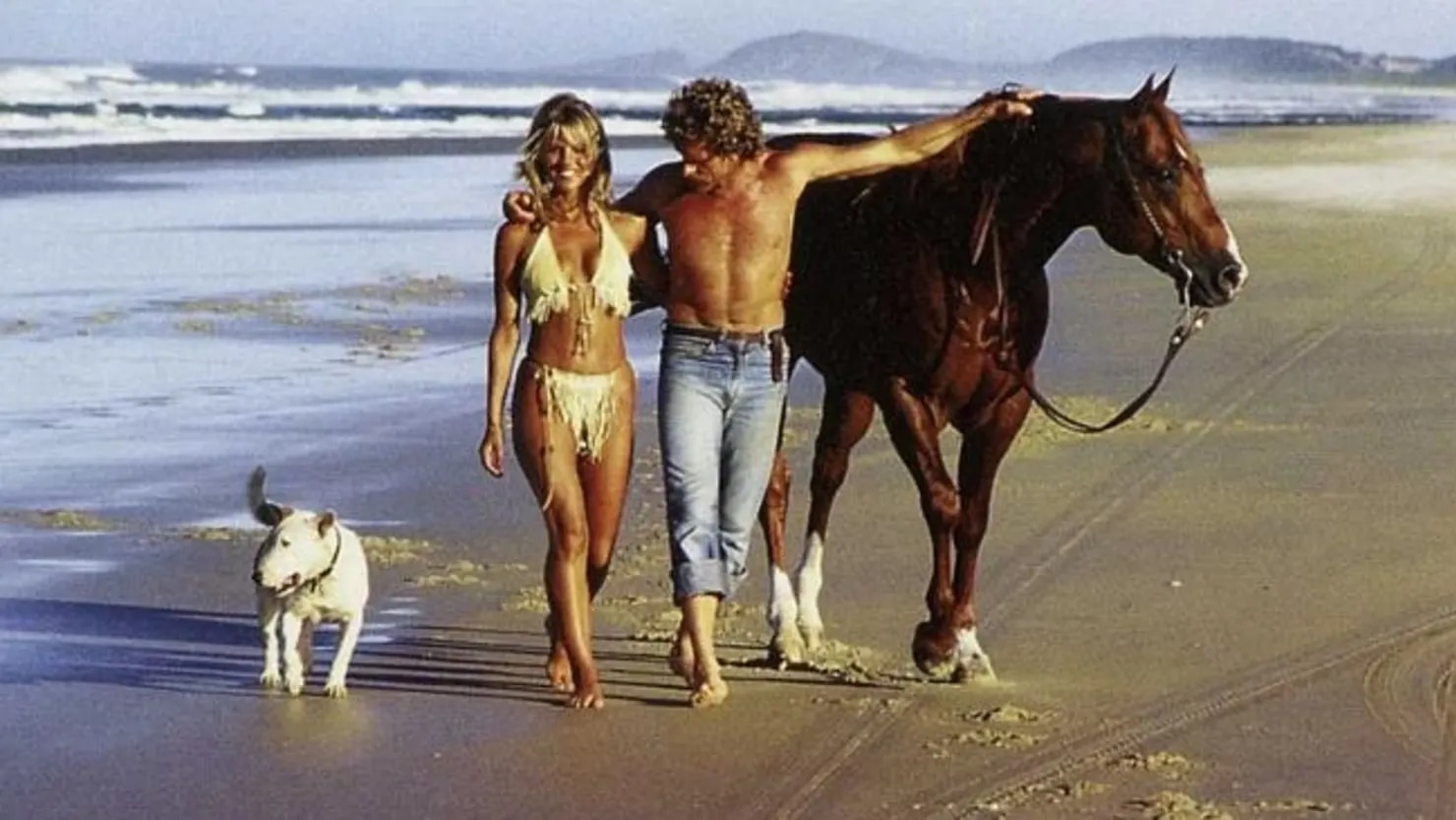 Alby Mangels: Inside the legendary adventure travel filmmaker’s secret new life – ABC News